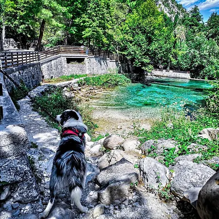 Bed & Breakfast Appartamenti La Majella *